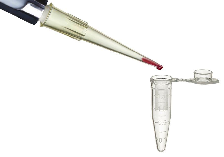 yellow standard pipette tip dispensing liquid into eppendorf style tube