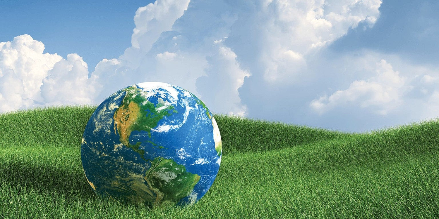 Green-earth in a field of grass. Green vision with sustainable choices driving our decisions.