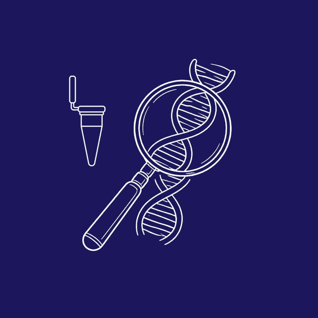 PCR