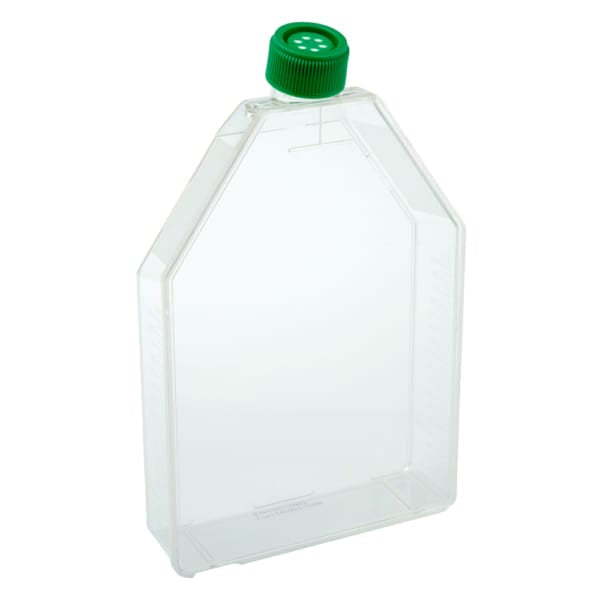 Tissue Culture Flasks