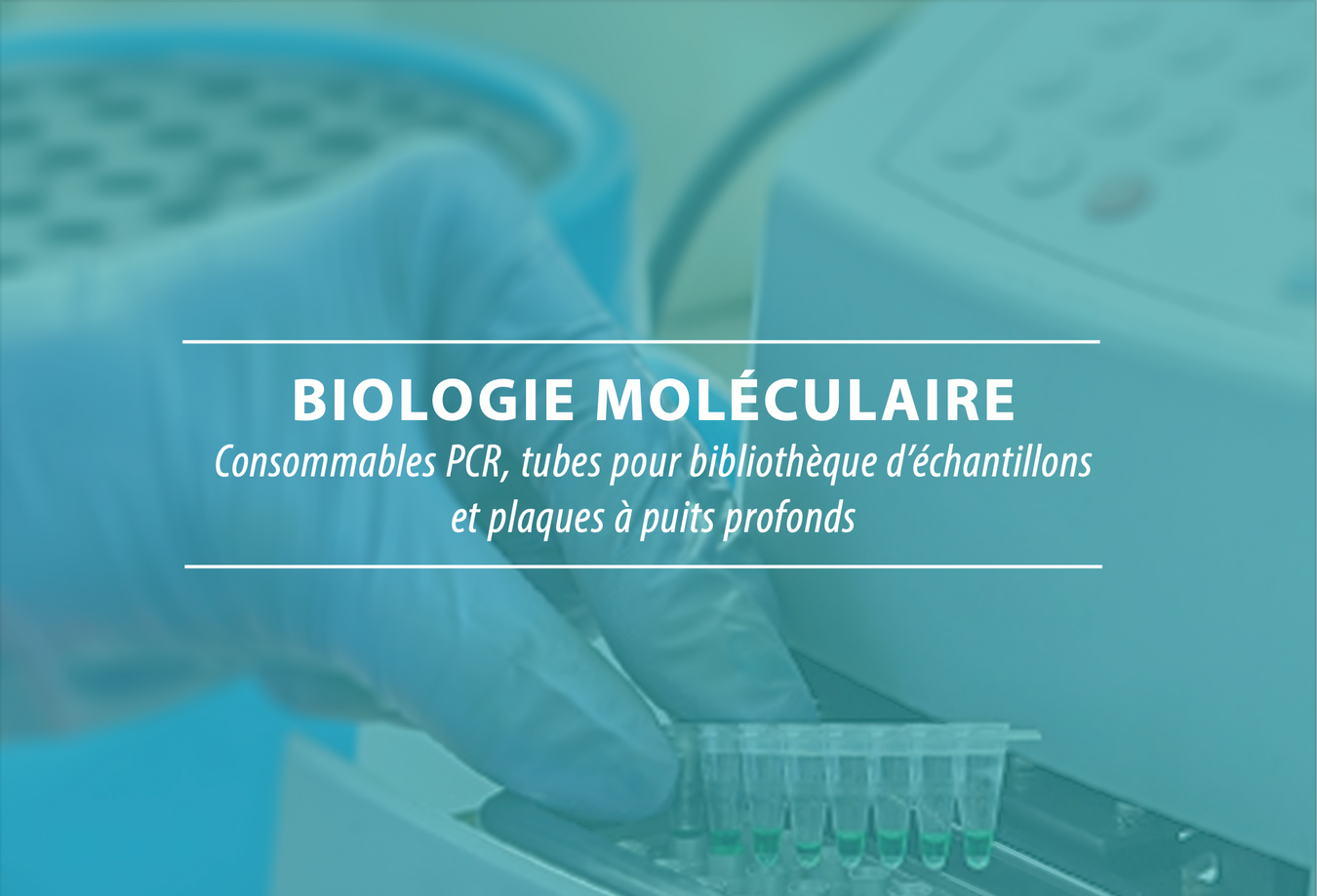 Molecular Biology PCR products information including consumables, pcr tubes and deep well plates