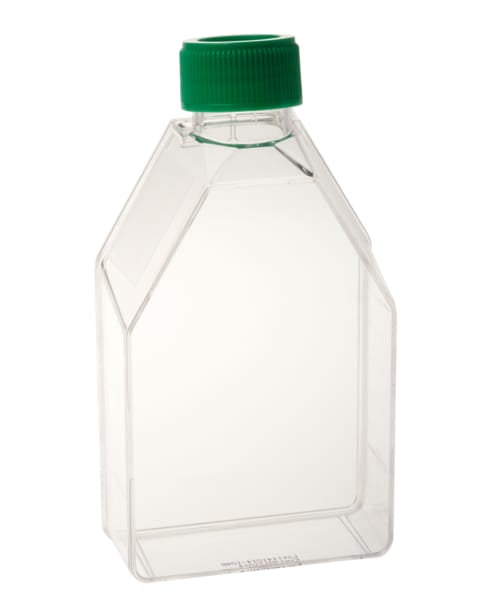 Tissue Culture Flasks (Surface Treated) Tissue Culture Flasks (Surface Treated) DBIOMED 75cm2 / Vent