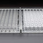 Tissue Culture Plate with Lid (Surface Treated) Tissue Culture Plate with Lid (Surface Treated) DBIOMED